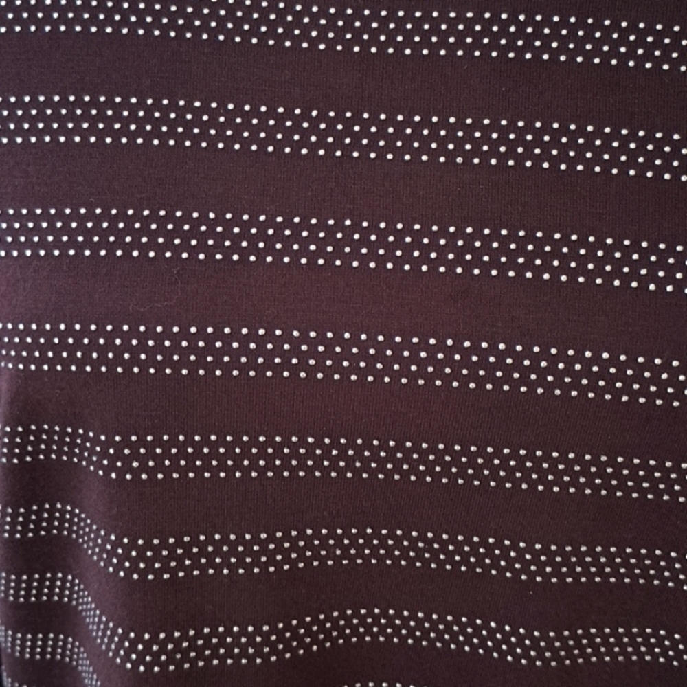 Ann Taylor Burgundy Colored Long Sleeve Top With Silver Beaded Stripes
